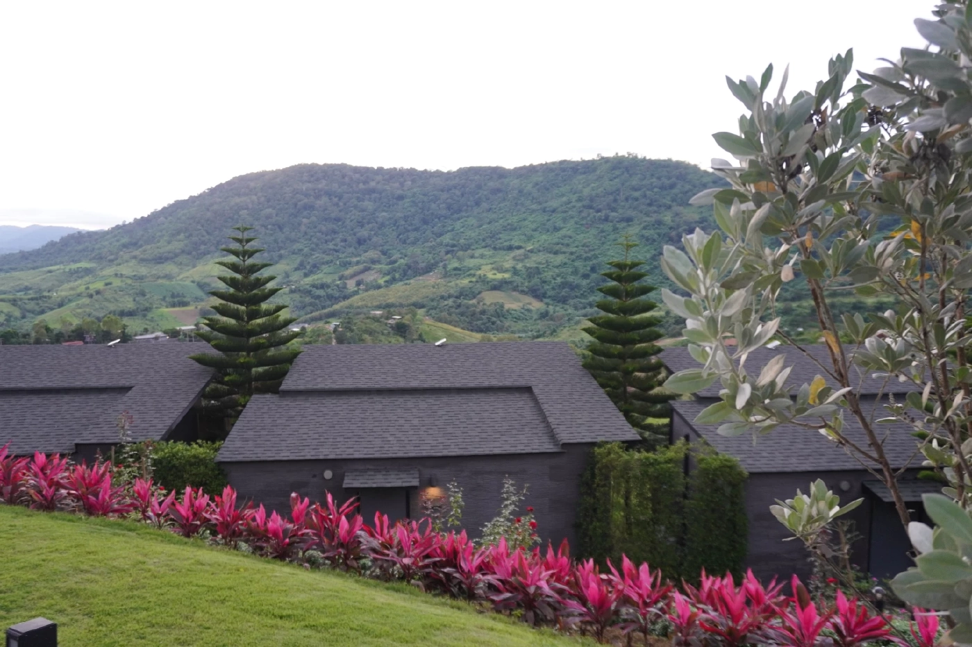 โอบกอดธรรมชาติที่ "เขาค้อ" ดินแดนทะเลหมอก 360 องศา