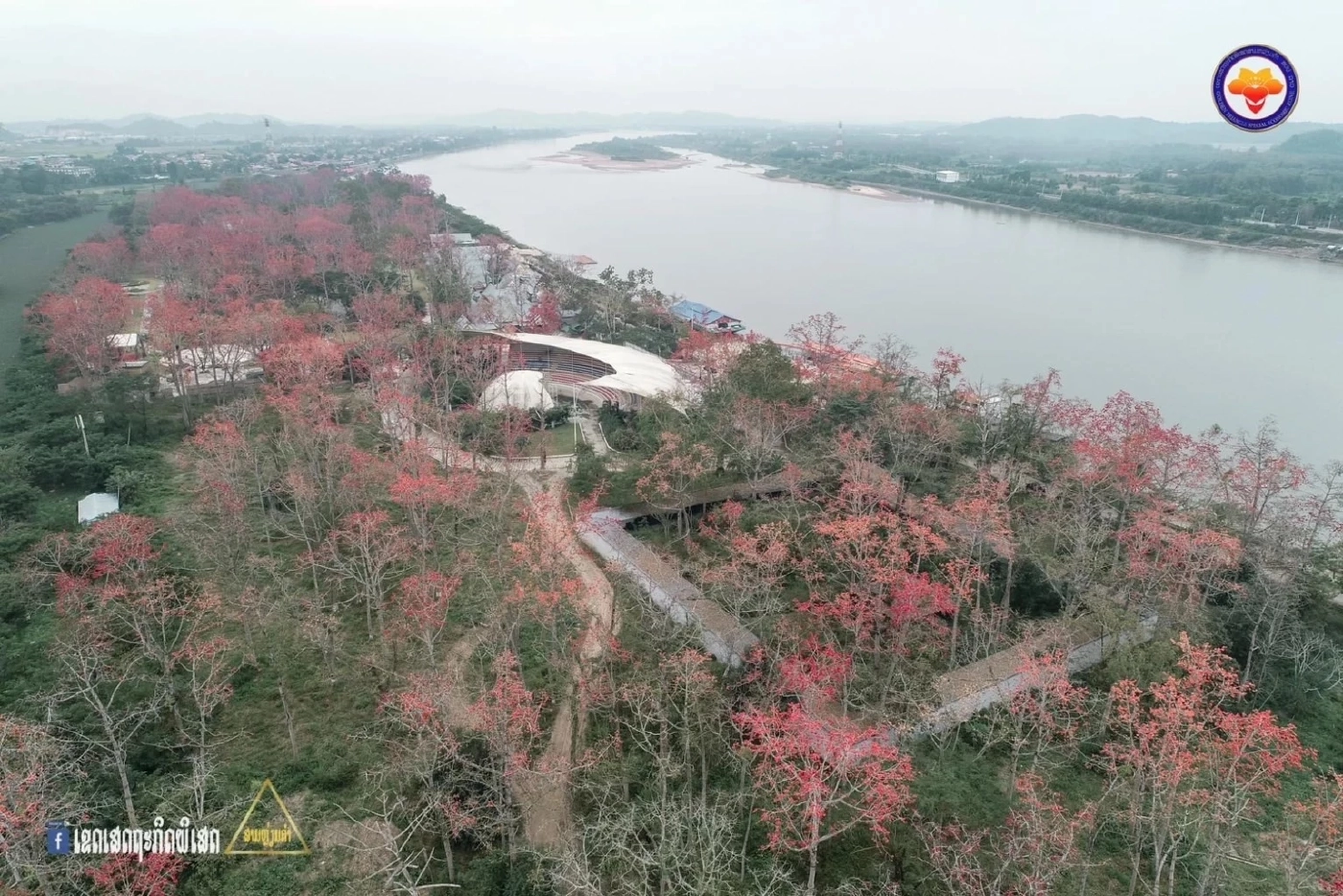 เขตเศรษฐกิจพิเศษสามเหลี่ยมคำจัด“เทศกาลดอกงิ้วบาน” เชื่อมท่องเที่ยว4ชาติ