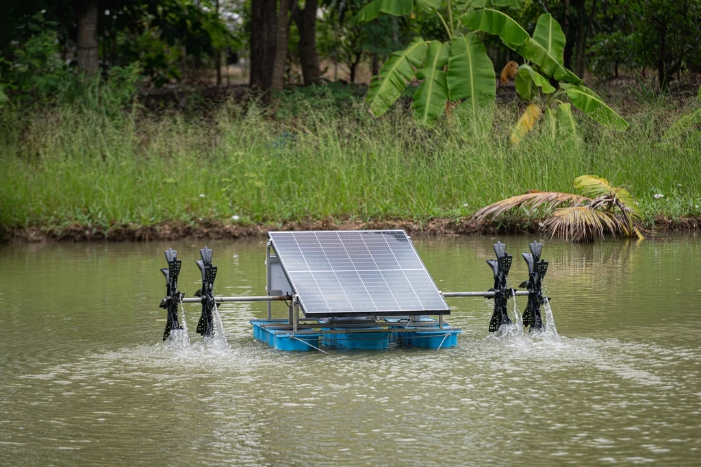 กัลฟ์ ชูศูนย์การเรียนรู้เกษตรและแปลงนาสาธิต โรงไฟฟ้าหนองแซง สู่ต้นแบบเศรษฐกิจหมุนเวียน พร้อมส่งเสริมวัฒนธรรมไทย “กัลฟ์สืบสานวิถีชาวนาไทย ร่วมใจลงแขกเกี่ยวข้าว”
