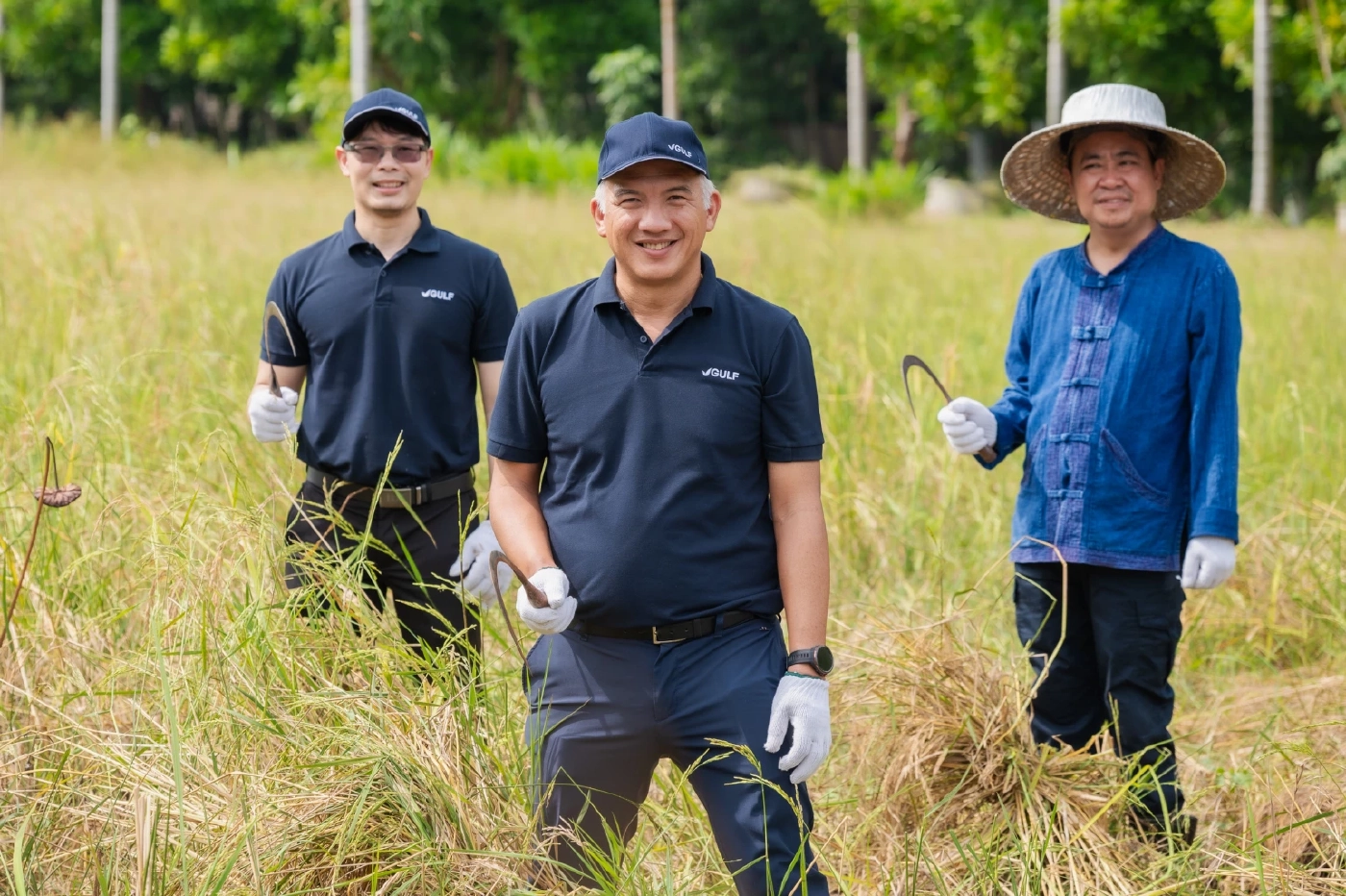 กัลฟ์ ชูศูนย์การเรียนรู้เกษตรและแปลงนาสาธิต โรงไฟฟ้าหนองแซง สู่ต้นแบบเศรษฐกิจหมุนเวียน พร้อมส่งเสริมวัฒนธรรมไทย “กัลฟ์สืบสานวิถีชาวนาไทย ร่วมใจลงแขกเกี่ยวข้าว”