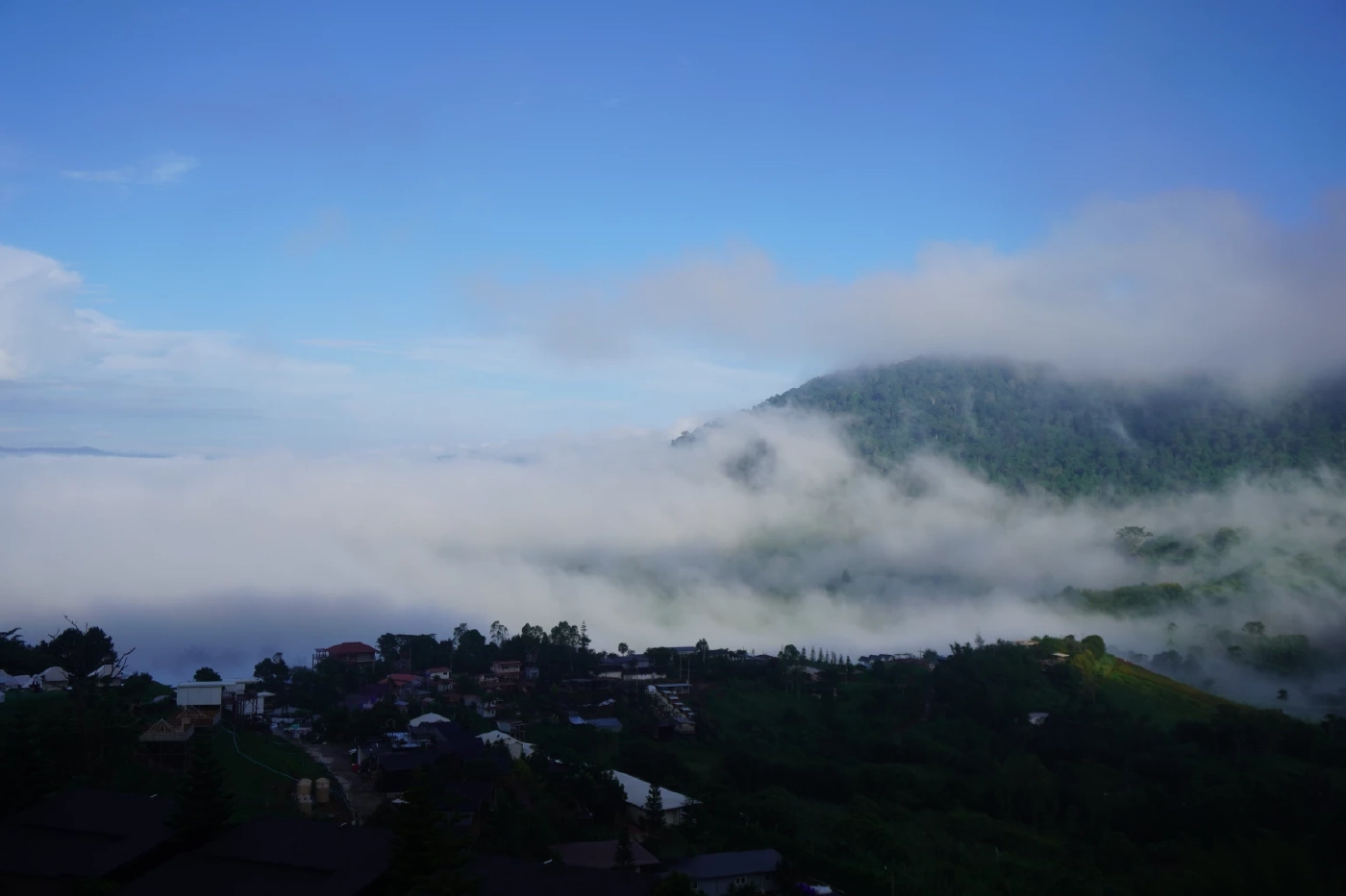 โอบกอดธรรมชาติที่ "เขาค้อ" ดินแดนทะเลหมอก 360 องศา