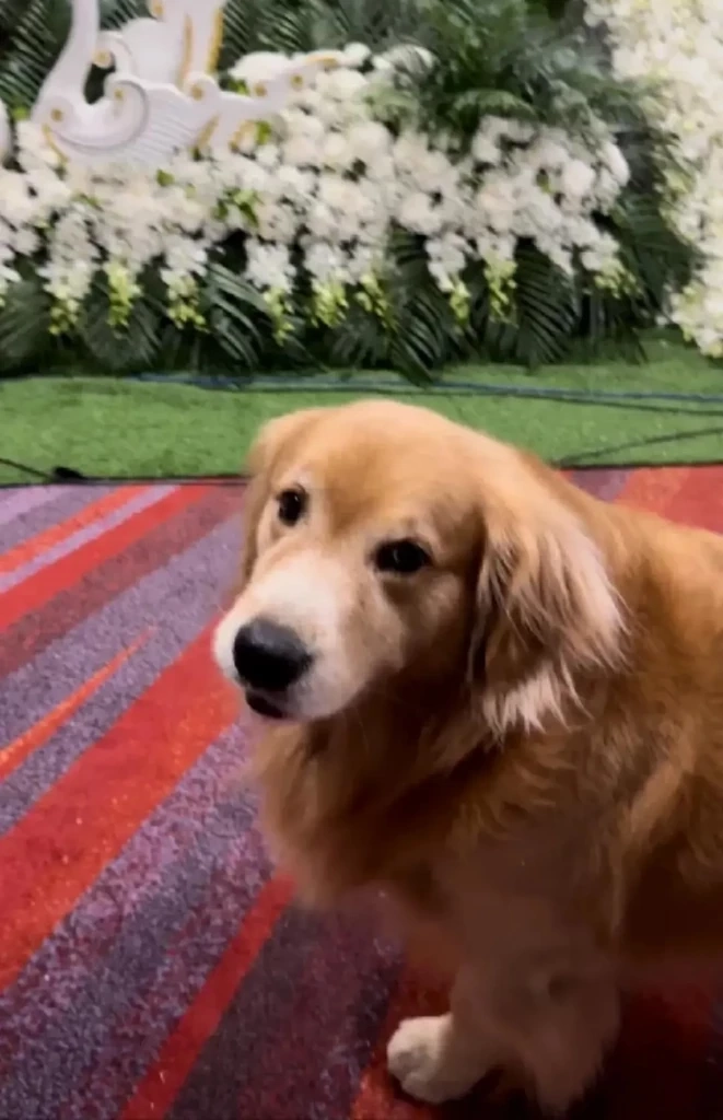 อุทยานน้ำตกเจ็ดสาวน้อย ชี้แจง จุด "น้องม่อน" จมน้ำดับ อยู่นอกเขตรับผิดชอบ