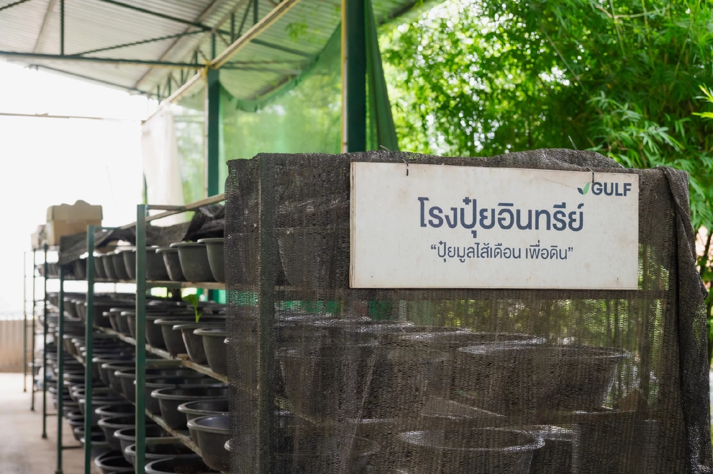 กัลฟ์ ชูศูนย์การเรียนรู้เกษตรและแปลงนาสาธิต โรงไฟฟ้าหนองแซง สู่ต้นแบบเศรษฐกิจหมุนเวียน พร้อมส่งเสริมวัฒนธรรมไทย “กัลฟ์สืบสานวิถีชาวนาไทย ร่วมใจลงแขกเกี่ยวข้าว”