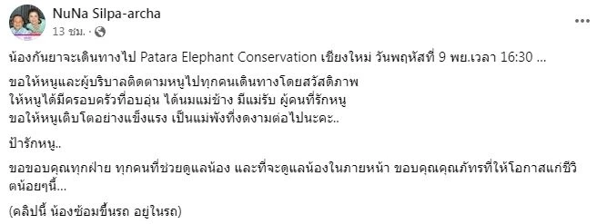 สรุปเส้นทาง "น้องกันยา" ลูกช้างหลงโขลง สู่ครอบครัวใหม่ กับสถานการณ์ช้างป่าในไทย