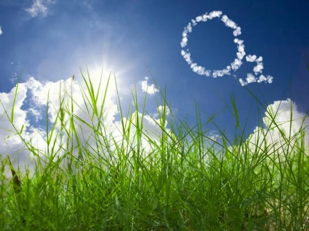 แนวทางการดำเนินงานสู่เป้าหมาย Net Zero