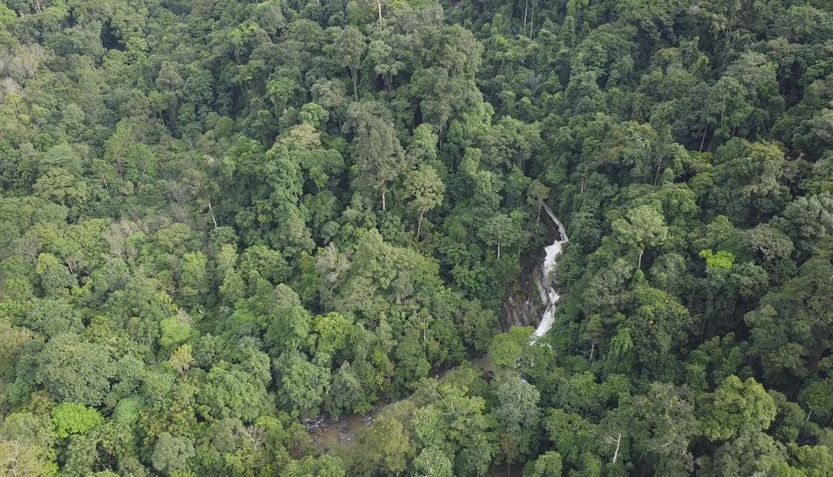 "เสี่ยแป้ง" แหกคุกครบเดือน ตร.ค้นบนเขาบรรทัด 15 วัน ไร้เงา ระดมล่าทุกมิติ สุดท้ายจะจบยังไง?