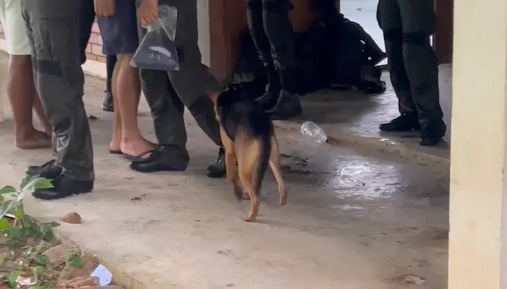 ขาที่ได้รับบาดเจ็บของ "เจ้าหมี"