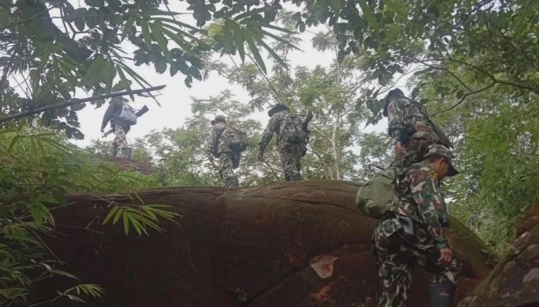 สรุปเส้นทาง "น้องกันยา" ลูกช้างหลงโขลง สู่ครอบครัวใหม่ กับสถานการณ์ช้างป่าในไทย