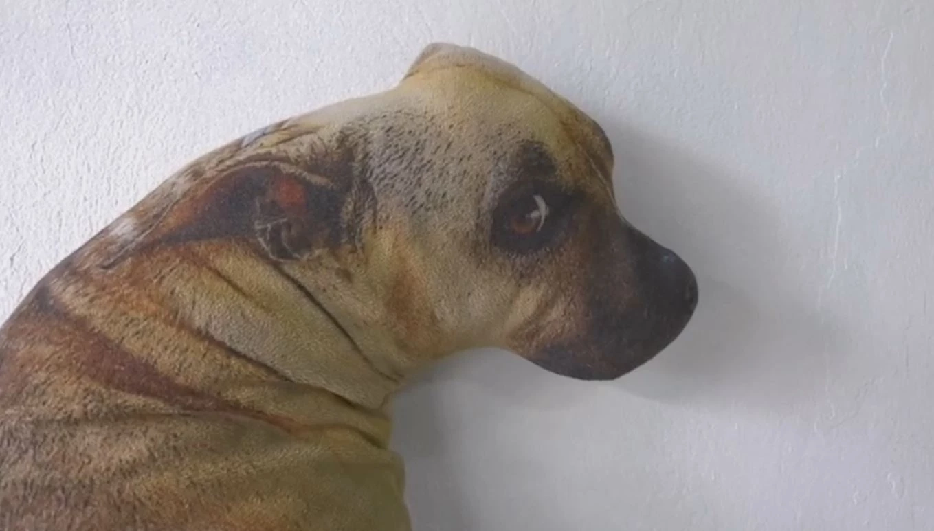 เจ้าหงอย