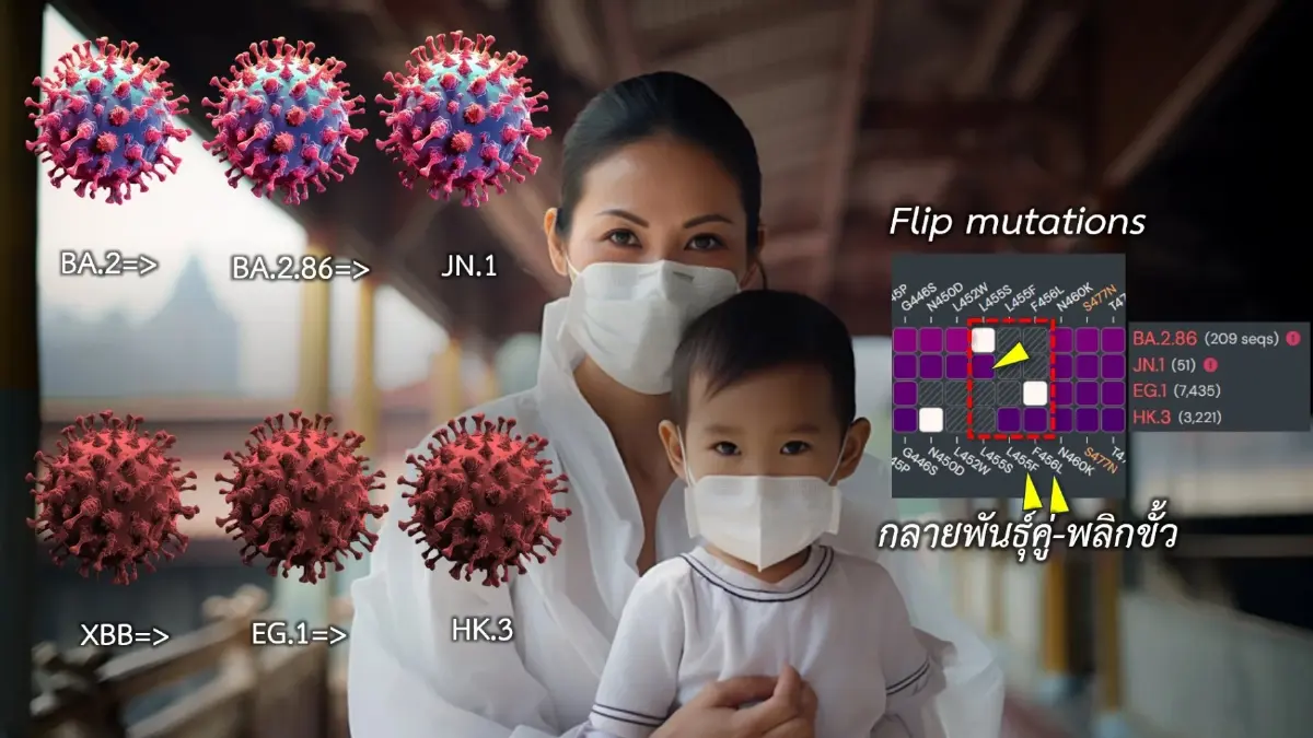 ศูนย์จีโนมฯ เตือน โควิดโอมิครอน "JN.1" อาจระบาดเป็นสายพันธุ์หลัก ในอนาคต