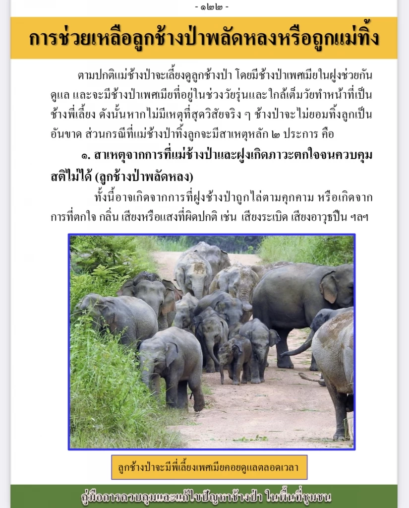 เปิดสาเหตุหลัก 2 ประการ ทำไมแม่ช้างป่าทิ้งลูก?