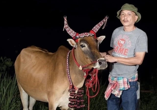 'อดีตมือปราบขุนดง' เผย 'ซุ้มมือปืนเมืองเพชร' ลดลง ผันตัวค้ายาแทนรายได้ดี