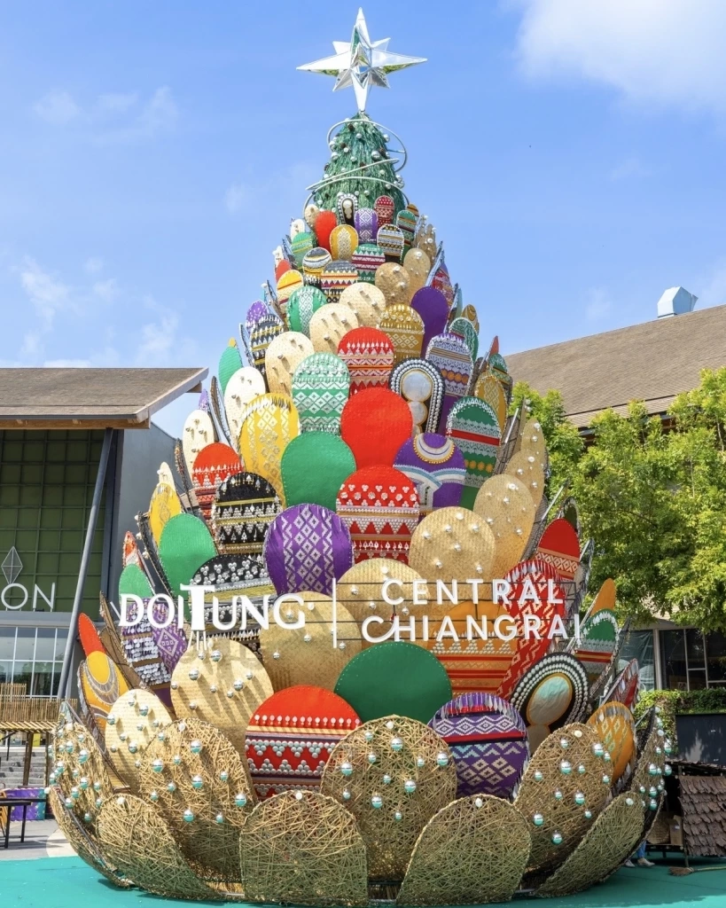 4 เรื่องมหัศจรรย์ของต้นคริสต์มาสหมอกพันวา ในเทศกาลสีสันกาสะลอง จ.เชียงราย