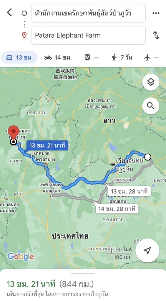 "น้องกันยา" เตรียมเดินทางไกล 800 กิโลเมตร ไปหาครอบครัวใหม่ 9 พ.ย. นี้