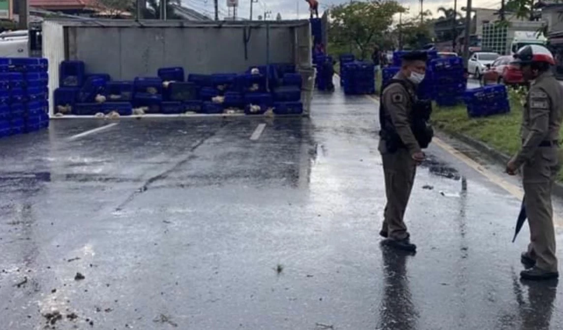 เปิดคลิปรถบรรทุกพลิกคว่ำ เทกระจาดลังไก่เกลื่อนถนน