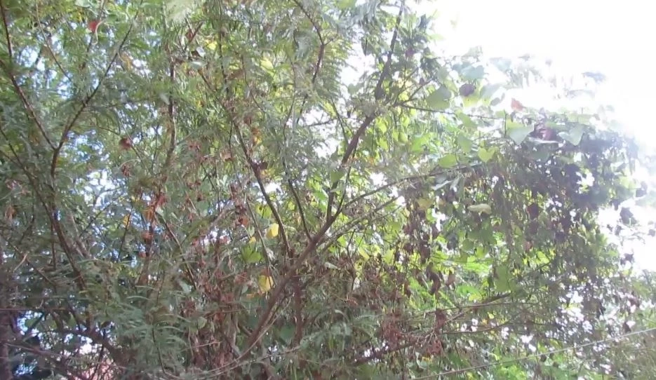 แปลก! วัดเสียวสวาท ความหมายไม่สัปดน พร้อมเฉลยให้ ชื่อนี้มาจากไหน