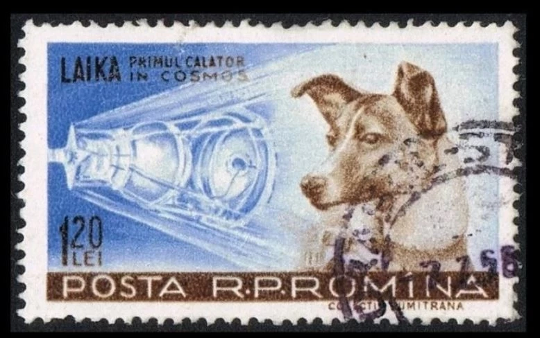 3 พ.ย. รำลึก "ไลก้า" สุนัขตัวแรกถูกส่งขึ้นสู่อวกาศ กับภารกิจโคจรรอบโลก