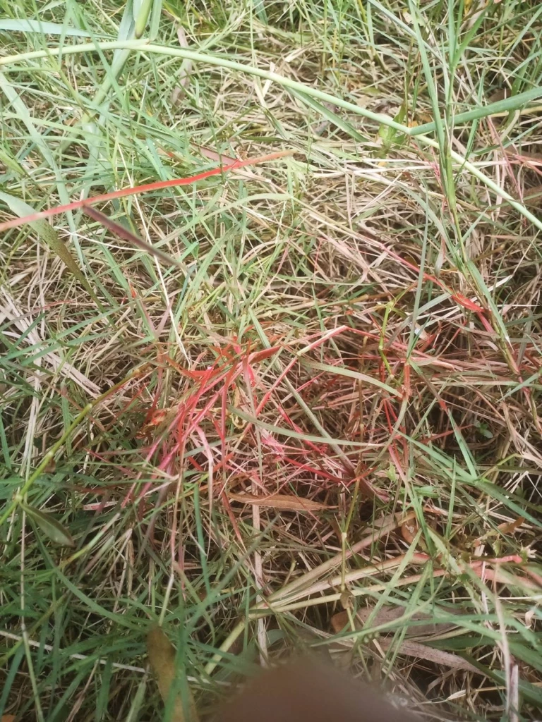 เจอจุดพ่นเปลี่ยนสีรถจยย. "ยิงครูเจี๊ยบ-น้องหยอด" หลบหนีตบตาตำรวจ