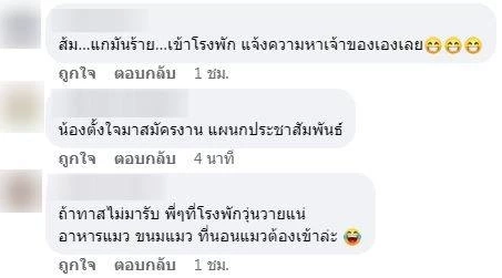 "แมวส้ม" พลัดหลง บริเวณ สน.บางรัก ใครเป็นเจ้าของมารับน้องกลับบ้านด้วย