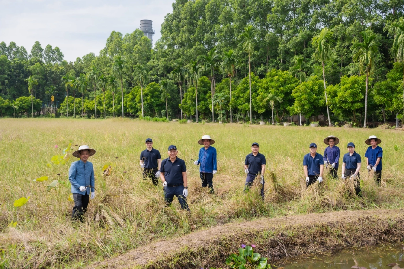 “กัลฟ์สืบสานวิถีชาวนาไทย ร่วมใจลงแขกเกี่ยวข้าว”