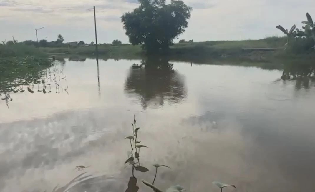 ชาวบ้านผวา สัตว์ขนาดใหญ่โผล่กลางคลอง คาดเป็นจระเข้ วอน จนท.ช่วยตรวจสอบ