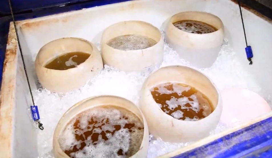 ปกครองเชียงราย ตรวจขายน้ำกระท่อมเถื่อน นั่งโต๊ะดื่มข้างร้าน เยาวชนเพียบ