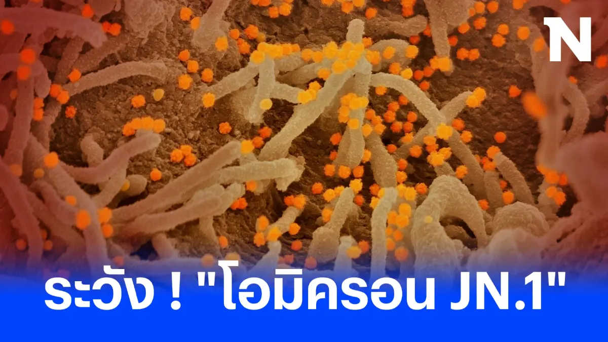 ศูนย์จีโนมฯ เตือน โควิดโอมิครอน "JN.1" อาจระบาดเป็นสายพันธุ์หลัก ในอนาคต