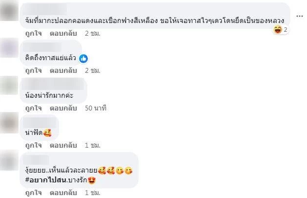 "แมวส้ม" พลัดหลง บริเวณ สน.บางรัก ใครเป็นเจ้าของมารับน้องกลับบ้านด้วย