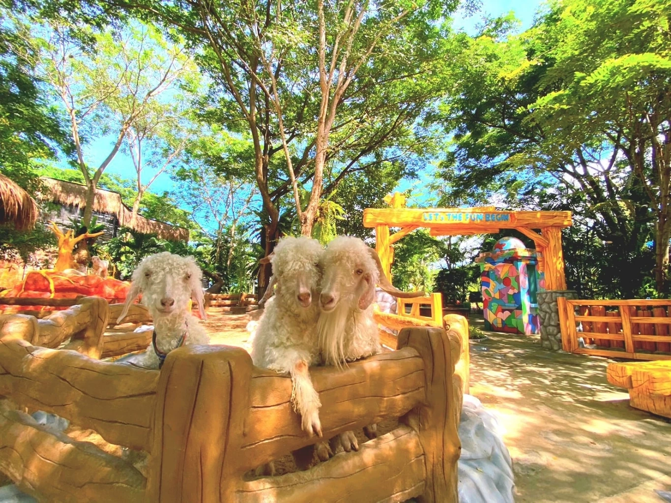 จูงมือกันเที่ยวรับลมหนาวเคล้าเสียงเพลง Season of Love Song  @เวเนโต้ สวนผึ้ง