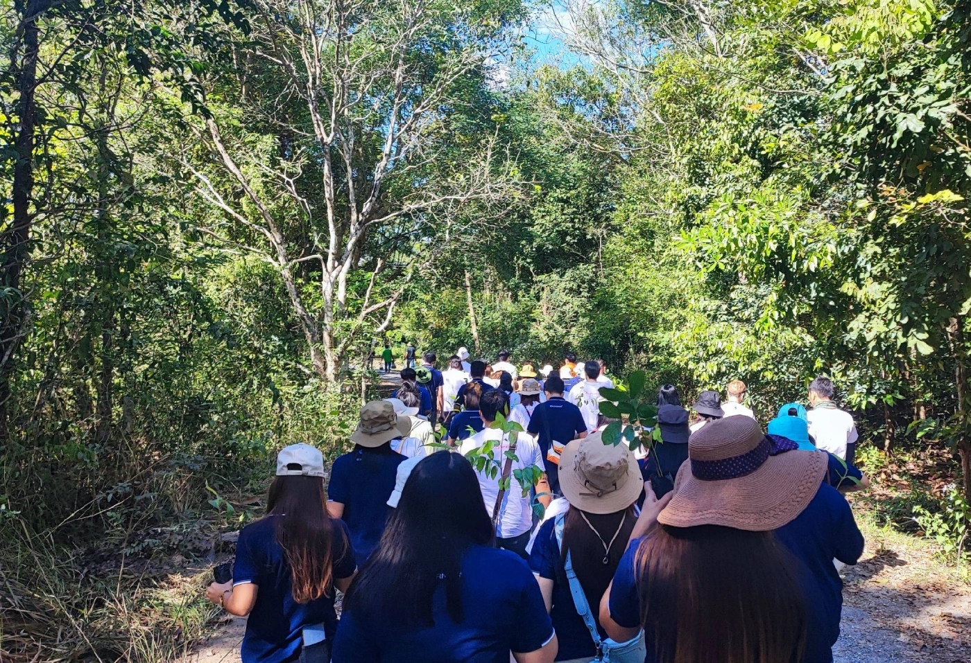 นทท.แห่รับลมหนาว ส่องดูฝูงกระทิงเขาแผงม้า ที่วังน้ำเขียวกันคึกคัก