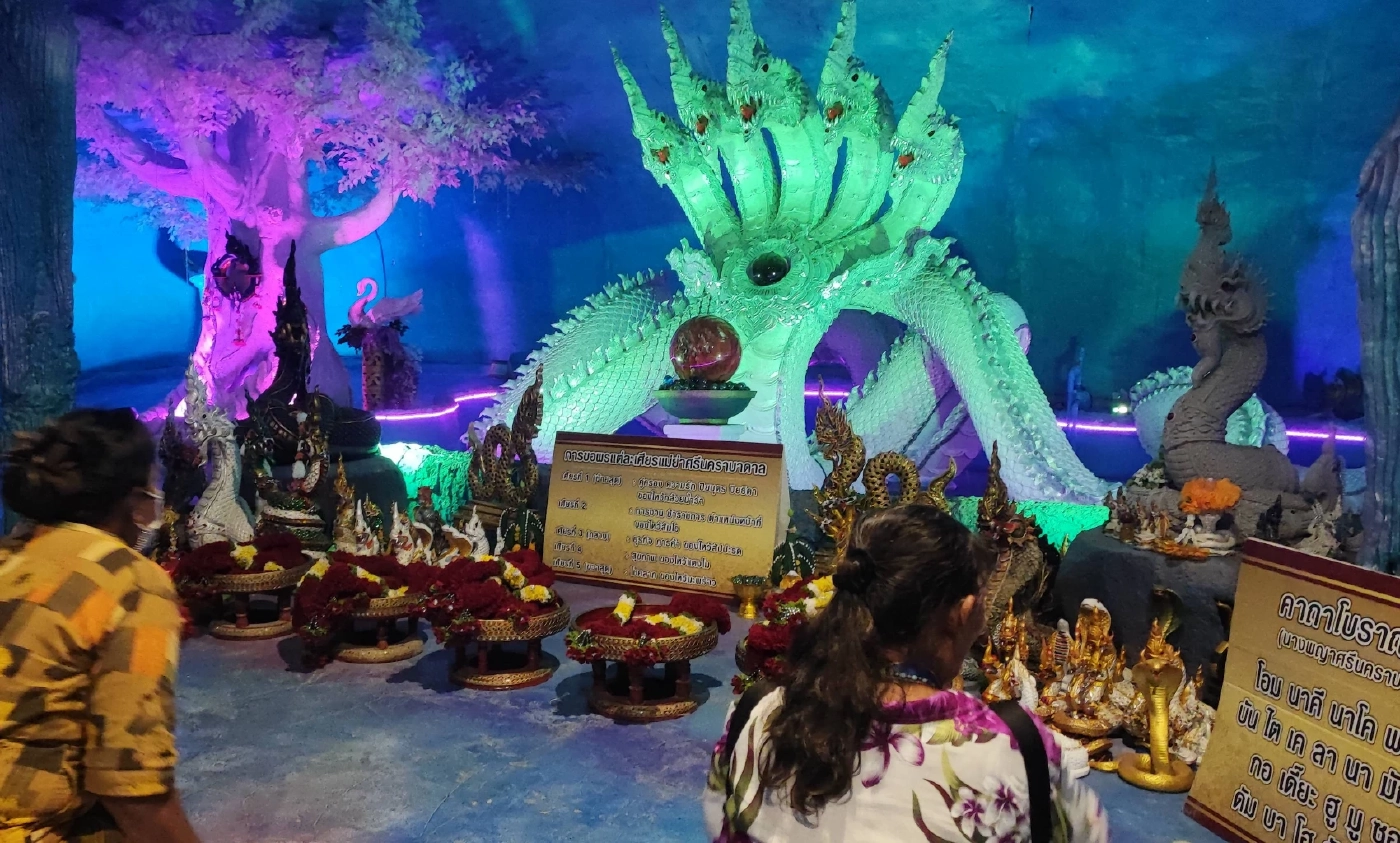 นทท.แห่รับลมหนาว ส่องดูฝูงกระทิงเขาแผงม้า ที่วังน้ำเขียวกันคึกคัก