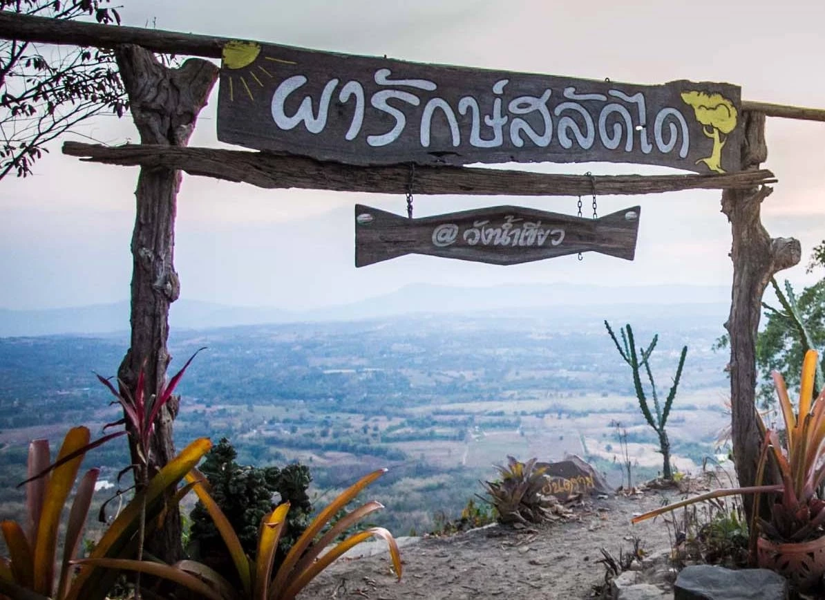 นทท.แห่รับลมหนาว ส่องดูฝูงกระทิงเขาแผงม้า ที่วังน้ำเขียวกันคึกคัก