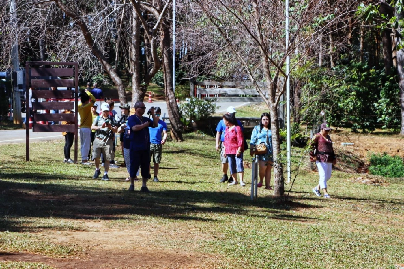 ดอกกระดาษ-กุหลาบพันปี ที่ "ภูหินร่องกล้า" เริ่มบานแล้ว นักท่องเที่ยวแห่ชมคึกคัก
