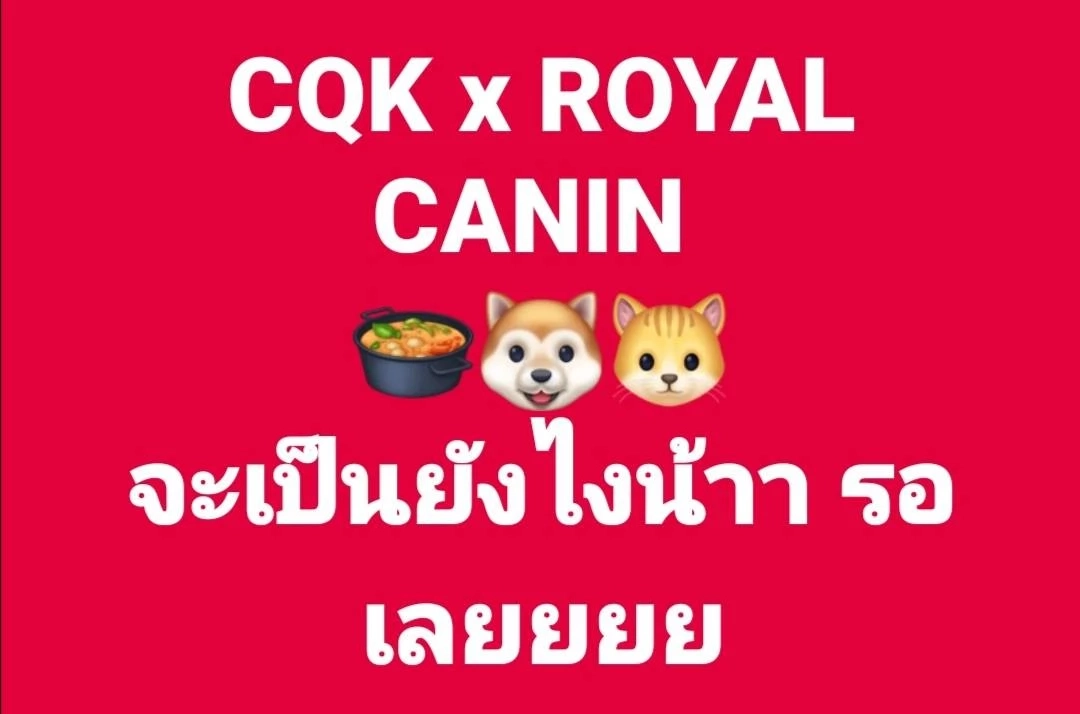 รอลุ้นเลย หมาล่าร้านดัง CQK x Royal Canin จะออกมาเป็นอย่างไร