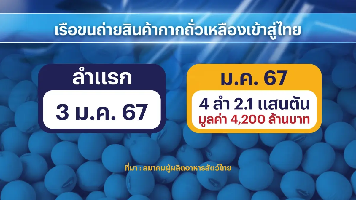 จี้รัฐบาลนำเข้า 'กากถั่วเหลือง' แก้วิกฤติอาหารสัตว์