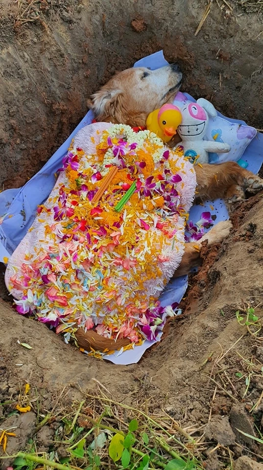 ภาพสุดท้าย &quot;คุณยายมะขวิด&quot; กลับดาวหมาแล้ว