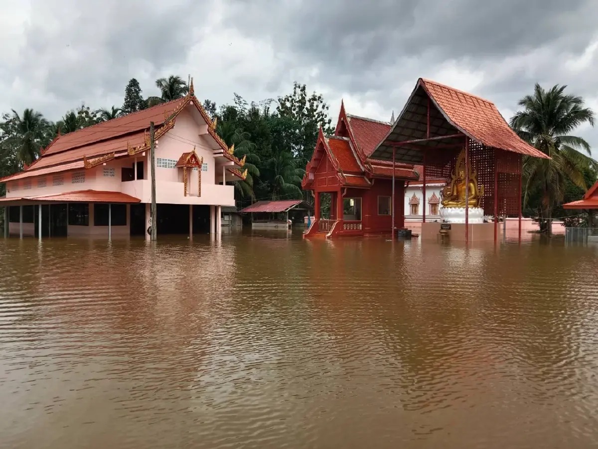พวงเพ็ชร ห่วง 219 วัด