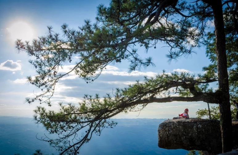 เห็นด้วยหรือไม่? โซเชียลถกเสียงแตก สร้างกระเช้าภูกระดึง