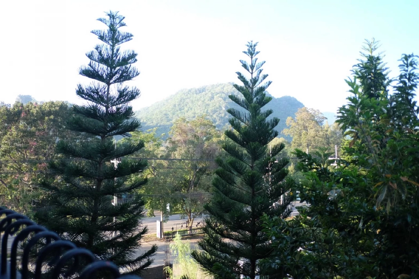 เก็บกระเป๋าเที่ยว เขาใหญ่ กับที่พักราคาสบายกระเป๋า