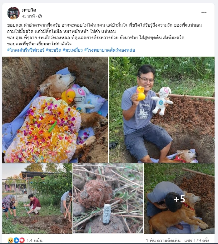 เปิดภาพสุดท้าย "มะขวิด" ขอบคุณทุกคำอำลา "แม้ตอบไม่ได้ แต่รับรู้ถึงความรัก"