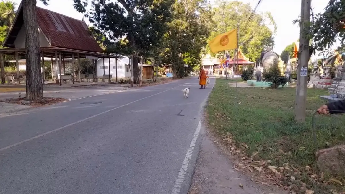 นุดเราออกไม่ได้! สุนัขวัดซุกซน ติดตาข่าย พระกับกู้ภัยช่วยจนปลอดภัย