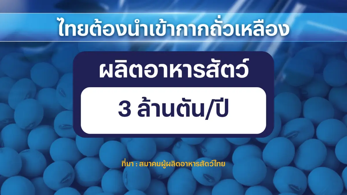 จี้รัฐบาลนำเข้า 'กากถั่วเหลือง' แก้วิกฤติอาหารสัตว์