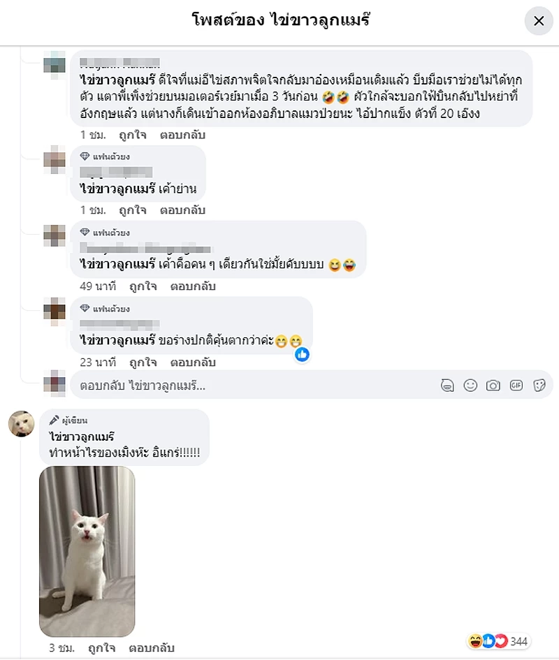 เพจ"ไข่ขาวลูกแมร๊" พร้อมมูฟออนแล้ว สลัดทิ้งปมถูกดรามา "ไม่ช่วยแมวป่วย"