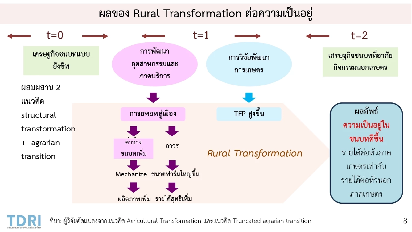 นักวิชาการ TDRI ห่วงไทยพัฒนาพันธุ์ข้าว 'สะดุด'
