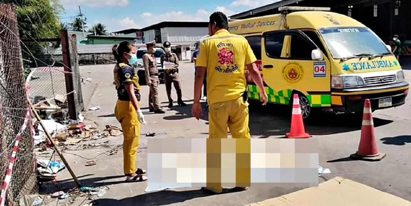 สุดช็อก! พบขามนุษย์ปริศนาจากสหรัฐฯ โผล่ไทย