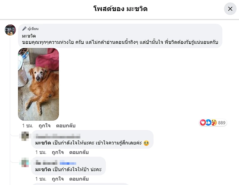 คุณยายมะขวิด กลับดาวหมาแล้ว