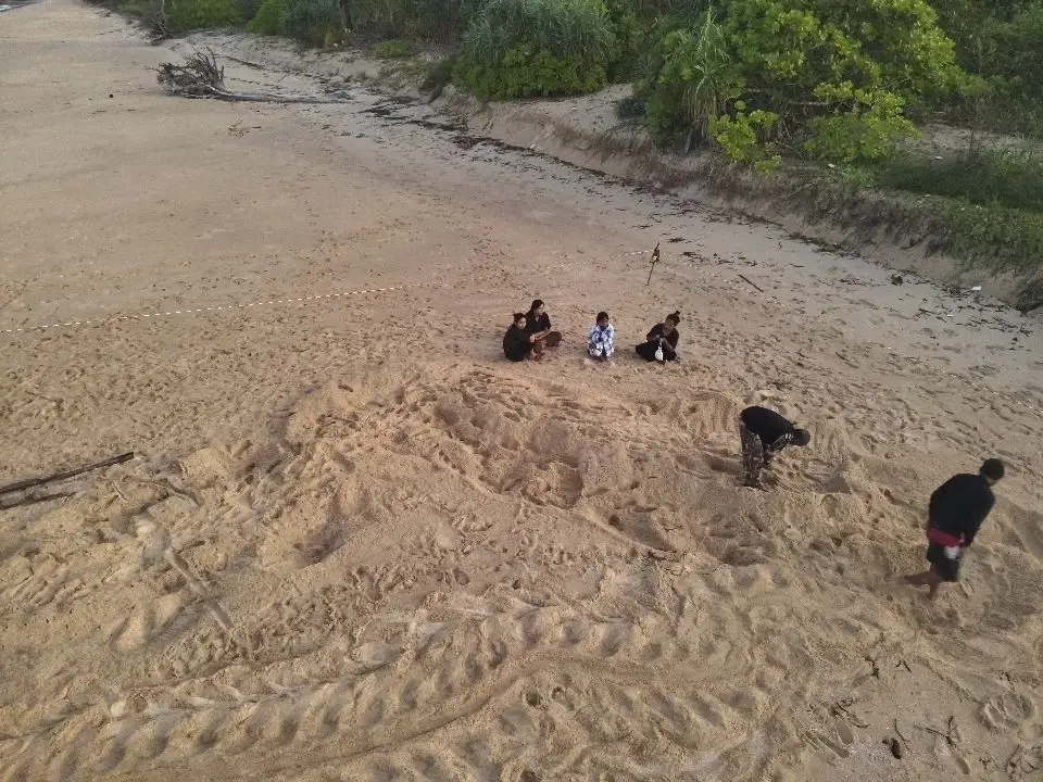 ข่าวดีส่งท้ายปี! "แม่เต่ามะเฟือง" ขึ้นวางไข่ 139 ฟอง ที่หาดเขาหน้ายักษ์