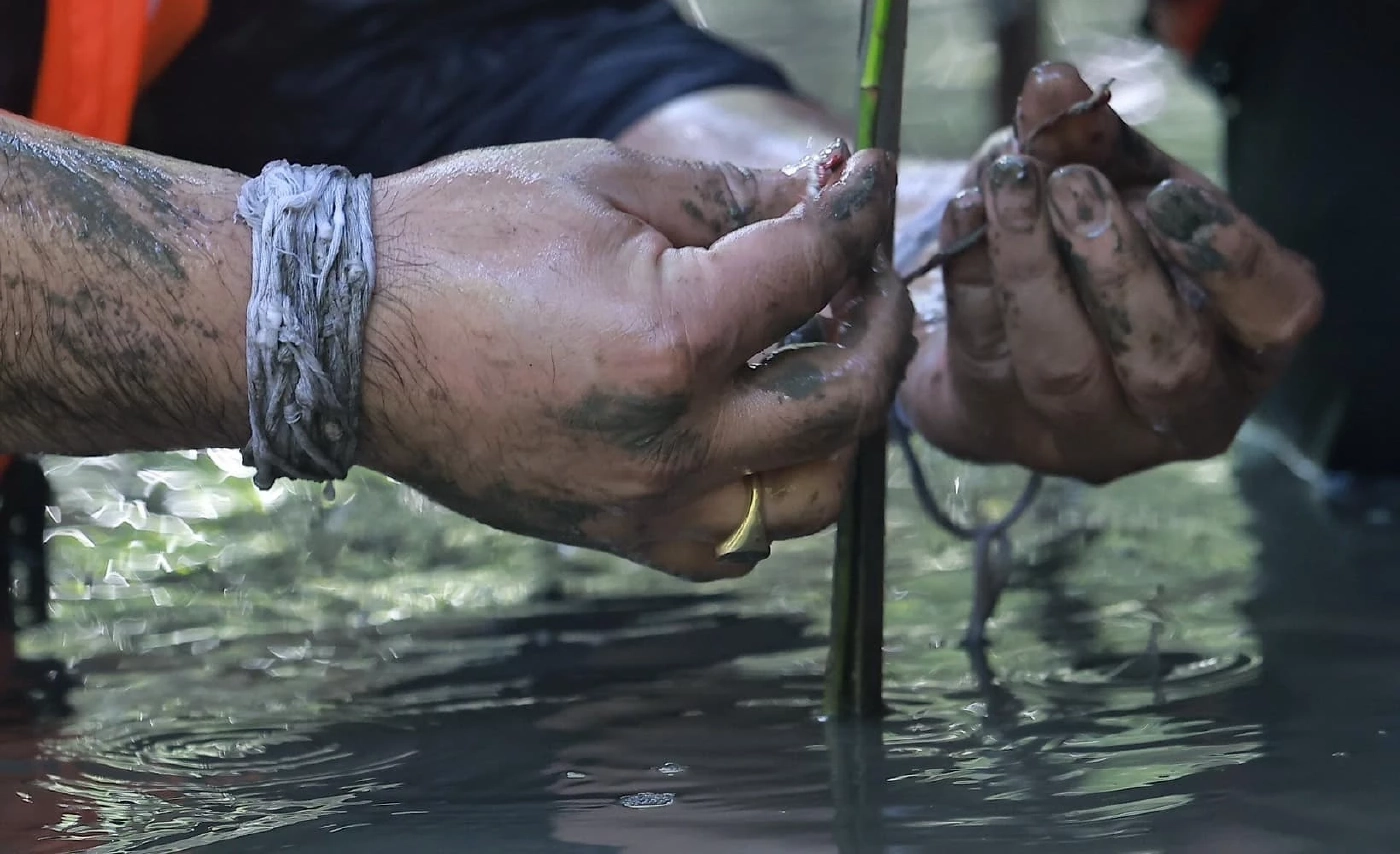 "ท่านอ้น" โพสต์ภาพปลูกป่าโกงกาง พร้อมแคปชัน"ธรรมชาติบำบัด สร้างสมดุลย์"