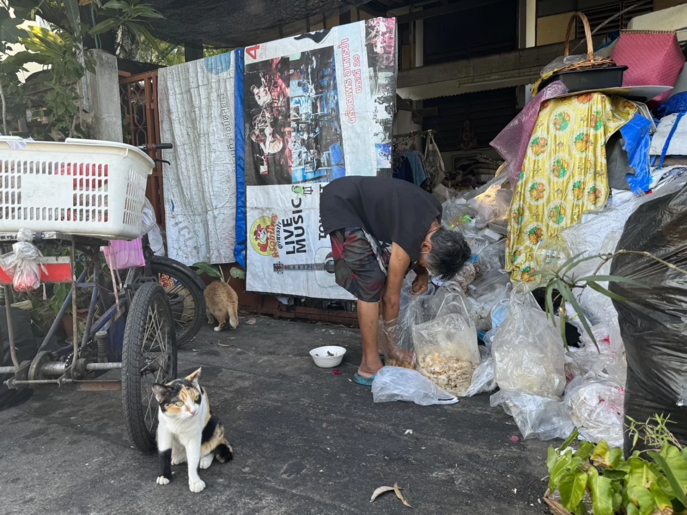 สาวโพสต์ tiktok เจอยายนั่งหลับบนจักรยานสามล้อบนถนนกลางดึก