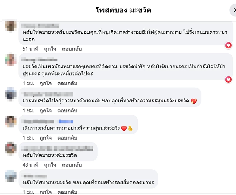 เปิดภาพสุดท้าย "มะขวิด" ขอบคุณทุกคำอำลา "แม้ตอบไม่ได้ แต่รับรู้ถึงความรัก"